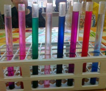 Mały Naukowiec – eksperymenty przyrodnicze