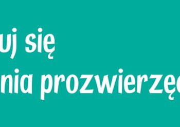 Trening czyni aktywistę – rekrutacja do projektu dla osób chcących działać na rzecz zwierząt!