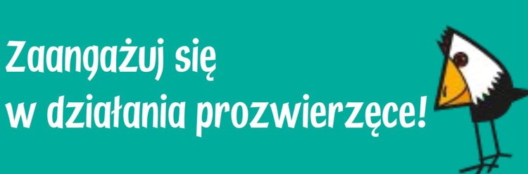 Trening czyni aktywistę – rekrutacja do projektu dla osób chcących działać na rzecz zwierząt!