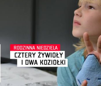 Concordia Design dla dzieci w Poznaniu