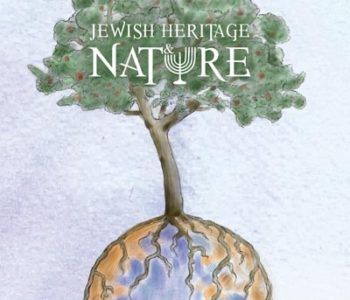 Europejski Dzień Kultury Żydowskiej