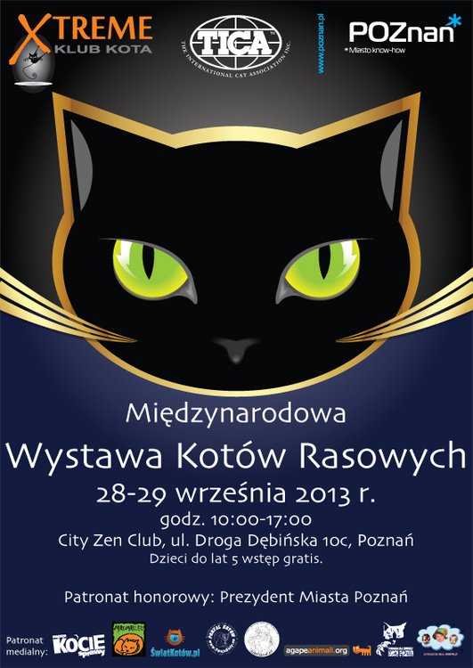 Międzynarodowa Wystawa Kotów Rasowych w Poznaniu