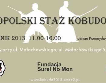 Ogólnopolski staż kobudo i iaido