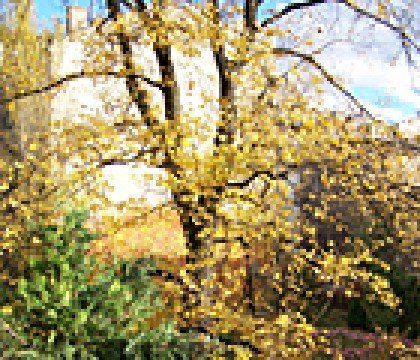 Powitanie jesieni w Domu Józefa Mehoffera