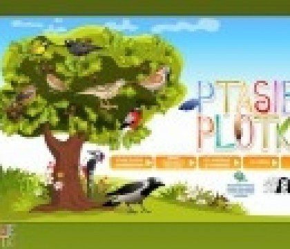 Ptasie plotki – warsztaty ekologiczne
