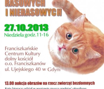 Pokaz Kotów Rasowych i kocie animacje