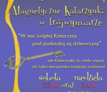 MAGNETYCZNE KATARZYNKI W TRÓJWYMIARZE