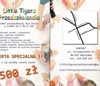 Oferta specjalna Little Tigers Przedszkolandia