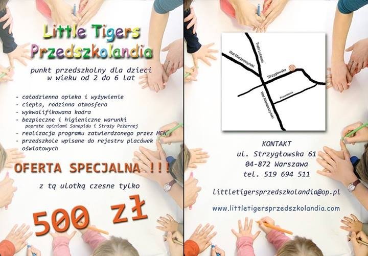 Oferta specjalna Little Tigers Przedszkolandia