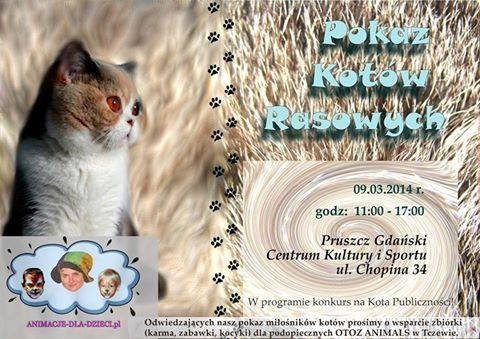 Pokazu Kotów Rasowych w Pruszczu Gdańskim