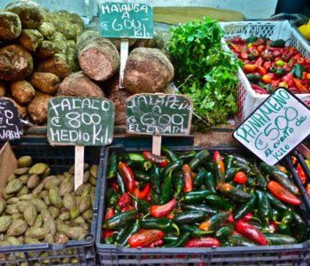 Atrakcje dla Dzieci w Poznaniu