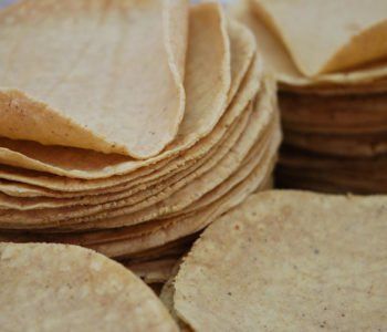 Warsztaty z Concordia Kids dla Dzieci w Poznaniu