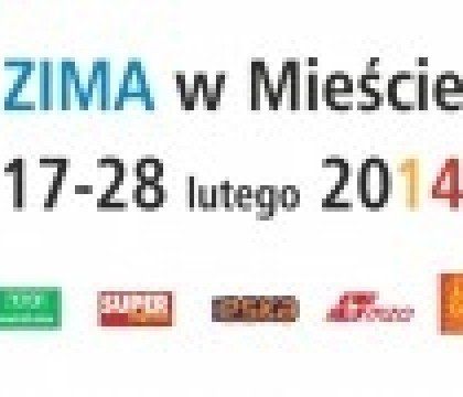 Zima w mieście 2014 – Warszawa