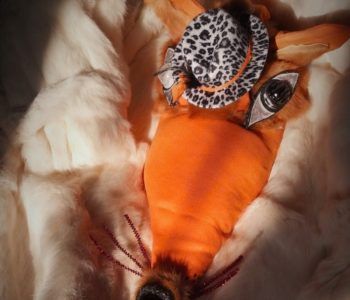 Lis Witalis w Teatrze Druga Strefa