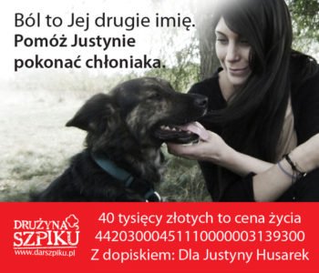 Półmaraton Poznański