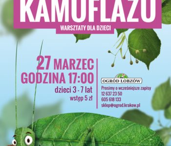 Sztuka kamuflażu- warsztaty dla dzieci