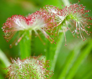 Wiosenne minilaby w Koperniku