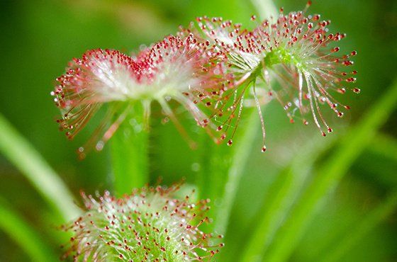 Wiosenne minilaby w Koperniku