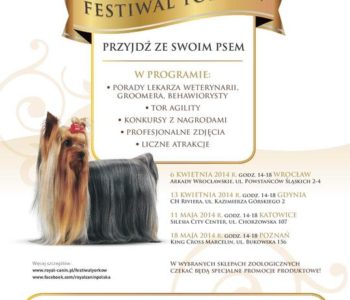 Festiwal Yorków po raz kolejny rusza w Polskę!