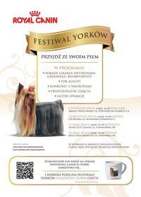 Festiwal Yorków po raz kolejny rusza w Polskę!