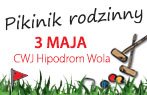 Piknik rodzinny w ramach XXIX Dni Ułana