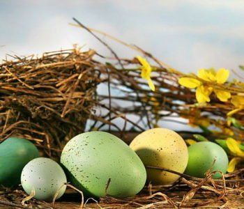 Wielkanoc dla Dzieci w Poznaniu i okolicy