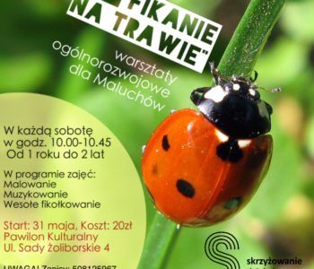 Fikanie na trawie – zajęcia ogólnorozwojowe dla Dzieci