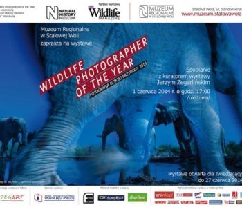 Fotografia Dzikiej Przyrody 2013 – Stalowa Wola