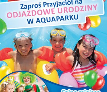 Organizacja urodzin dla Dzieci w Poznaniu