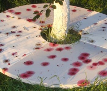 BEZ FARBY – niedzielne warsztaty. Opole