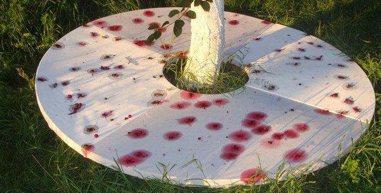 BEZ FARBY – niedzielne warsztaty. Opole