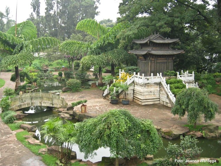 Poranek z pandą w chińskim ogrodzie