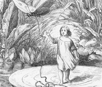 Calineczka odwiedzi Pałac Żelechów