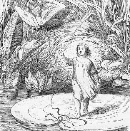 Calineczka odwiedzi Pałac Żelechów