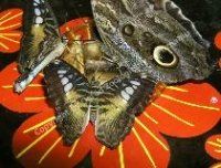 Atrakcje dla Dzieci w Nowym ZOO w Poznaniu