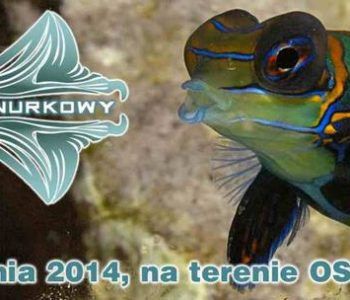 Piknik Nurkowy na terenie Parku Wodnego Moczydło w Warszawie