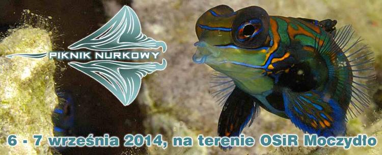 Piknik Nurkowy na terenie Parku Wodnego Moczydło w Warszawie