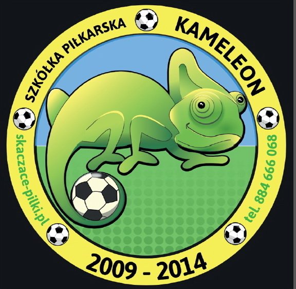 Szkoła Piłki Nożnej – Kameleon
