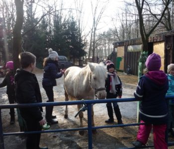 Zajęcia dla Dzieci w Poznaniu