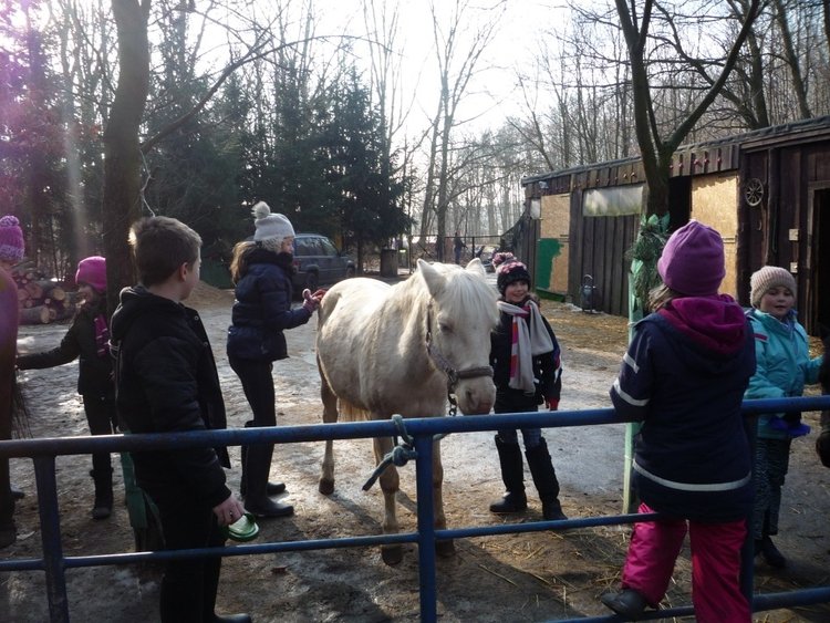 Zajęcia dla Dzieci w Poznaniu