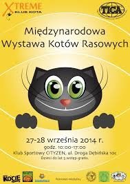 Animacje dla Dzieci w Poznaniu
