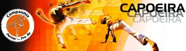 Capoeira w parku