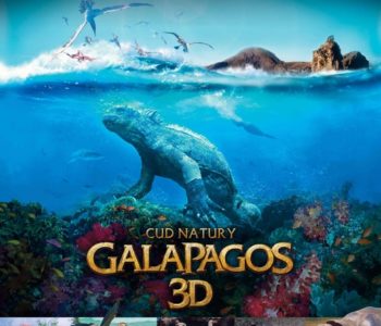 Kino IMAX zaprasza na magiczne wyspy Galapagos!