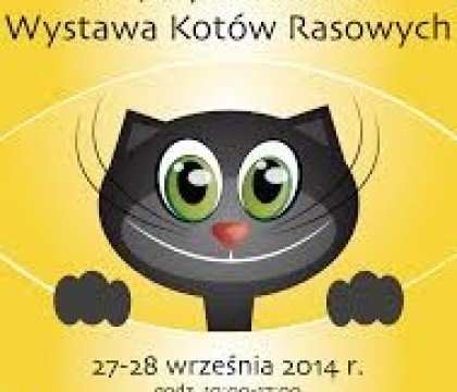 Konkurs rysunkowy dla Dzieci w Poznaniu