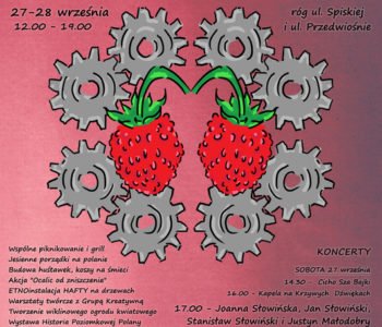 Mechaniczna poziomka na ludowo – piknik w miejskim ogrodzie społecznym na Podgórzu