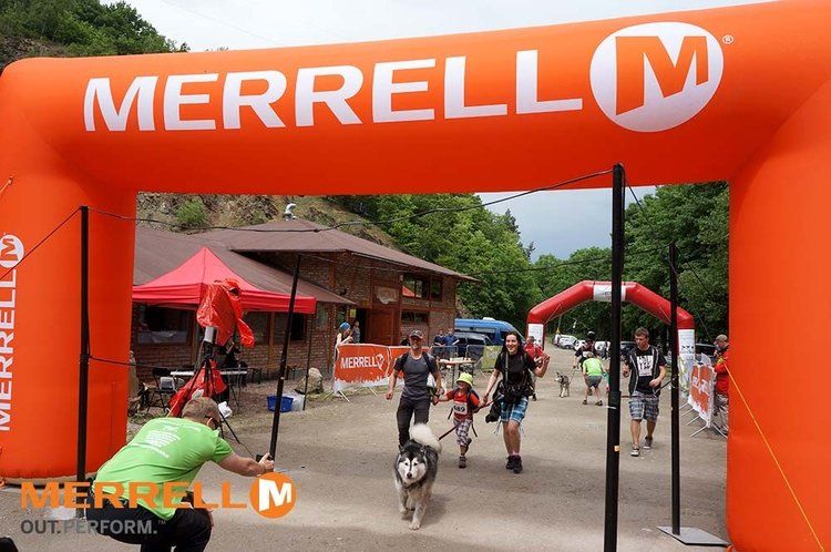 Puchar Polski w Dogtrekkingu