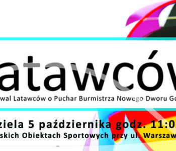 XI Festiwal Latawców – Nowy Dwór Gdański