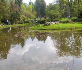 Święto Jesieni w Arboretum w Rogowie