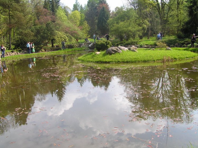 Święto Jesieni w Arboretum w Rogowie