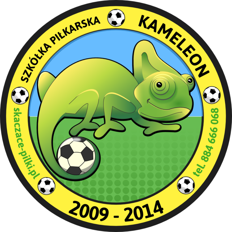 Szkółka Piłkarska Kameleon – Skaczące Piłki